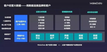 2019全球數字價值峰會 WakeData李柯辰——以數據為橋，連接品牌與客戶